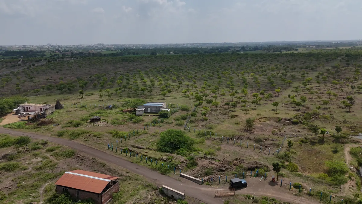 Karad Doddi forest today - dense green canopy from aerial view